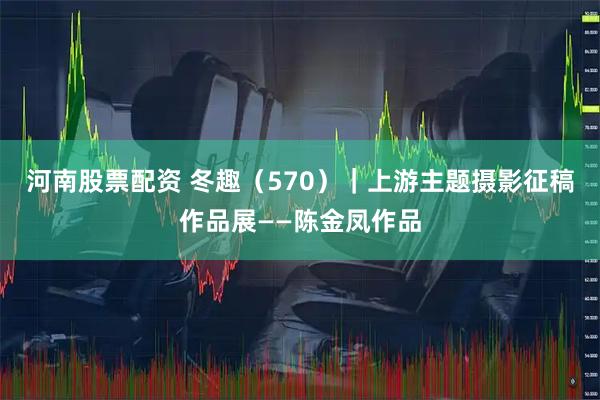 河南股票配资 冬趣（570）｜上游主题摄影征稿作品展——陈金凤作品