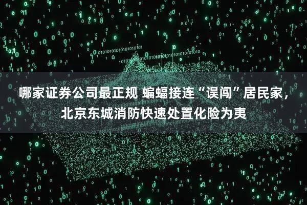哪家证券公司最正规 蝙蝠接连“误闯”居民家，北京东城消防快速处置化险为夷